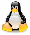 What is Linux